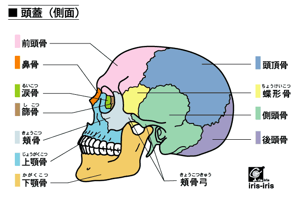 寝屋川市